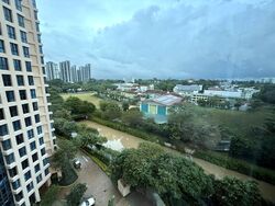 Tanglin View (D3), Condominium #479171491